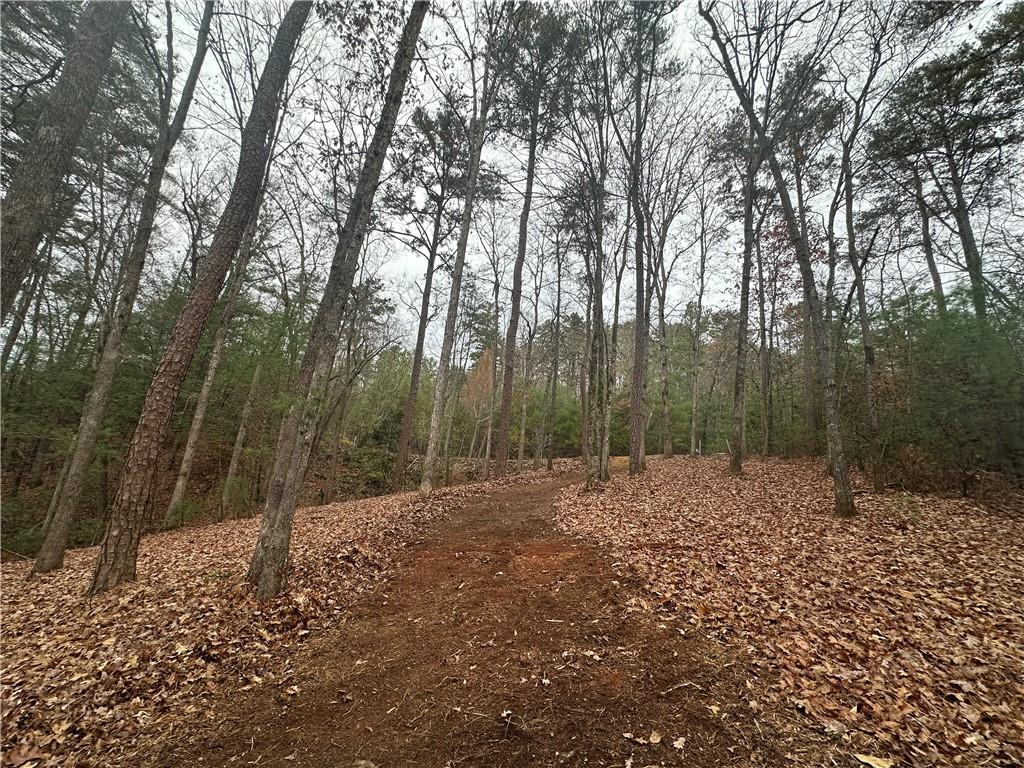 0 Roaring Forks Lane