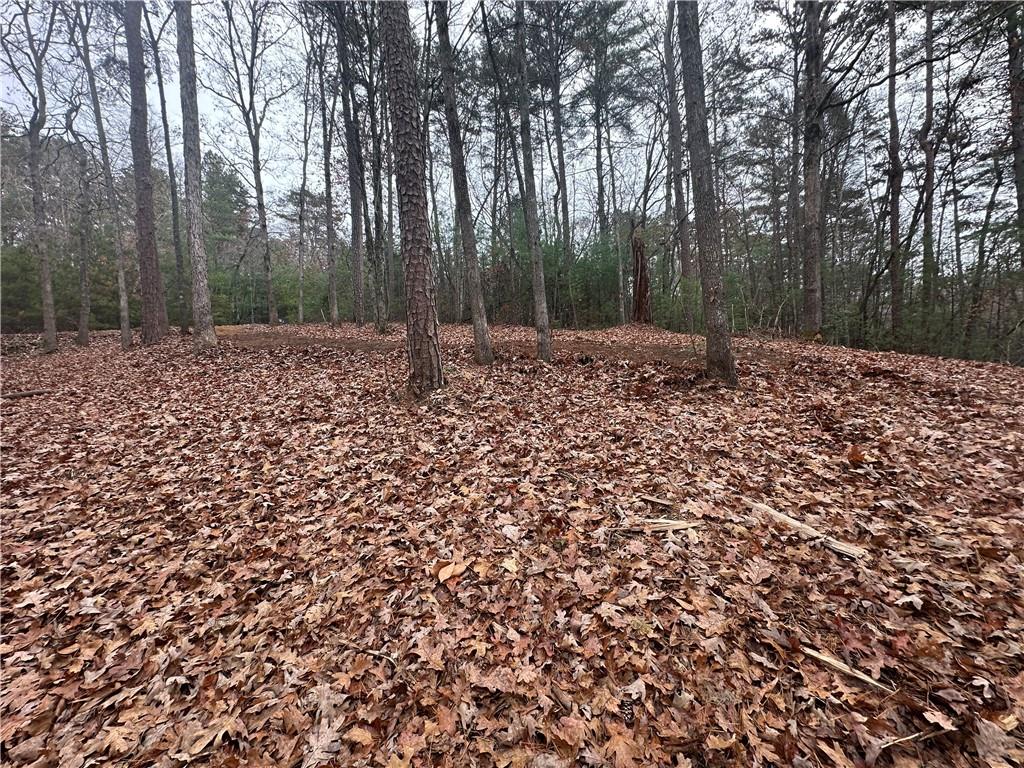 0 Roaring Forks Lane