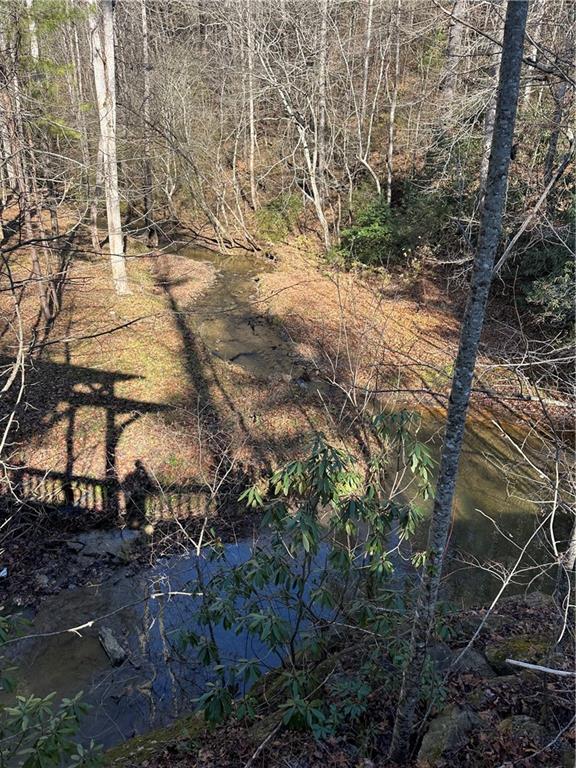 0 Roaring Forks Lane