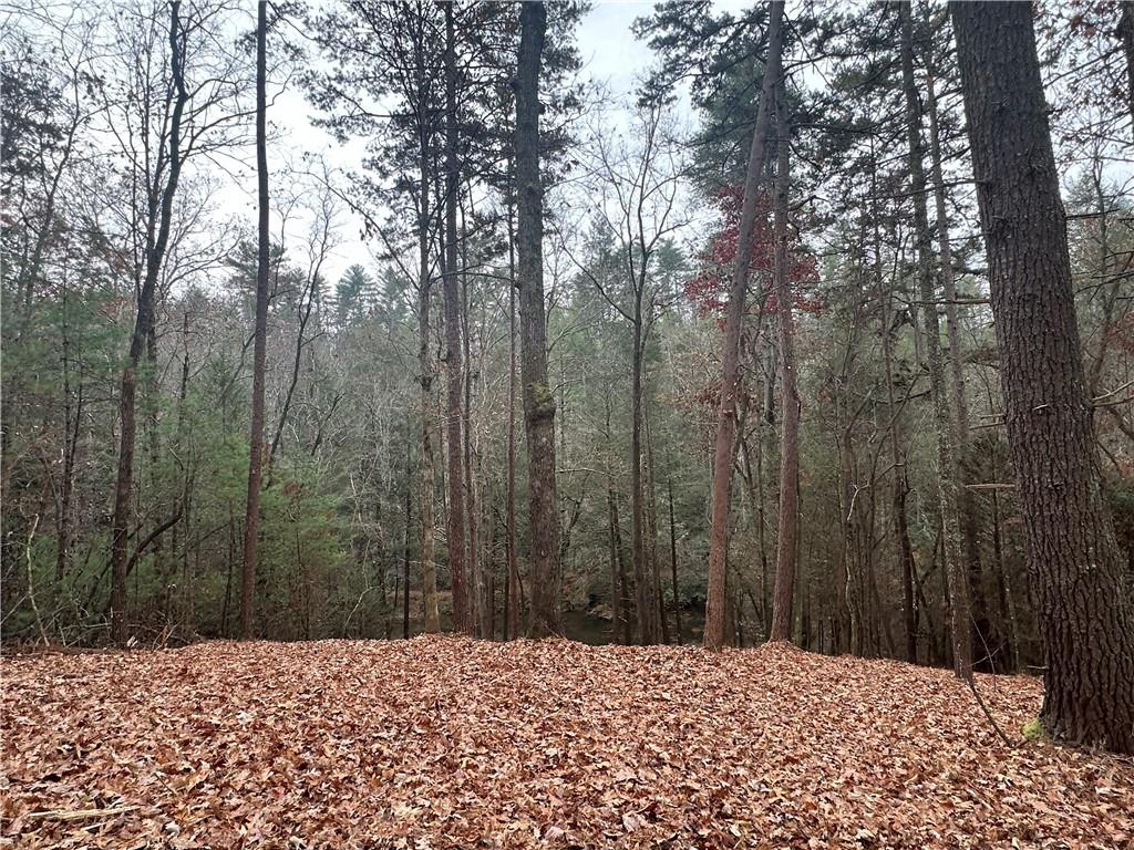 0 Roaring Forks Lane