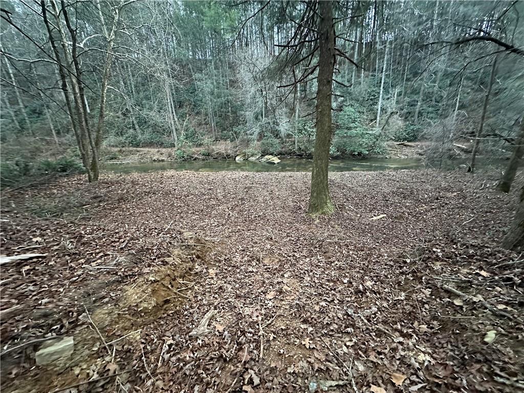 0 Roaring Forks Lane