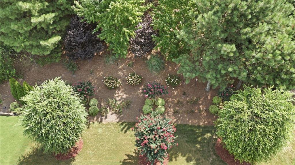 1985 Arbor Ridge Lane