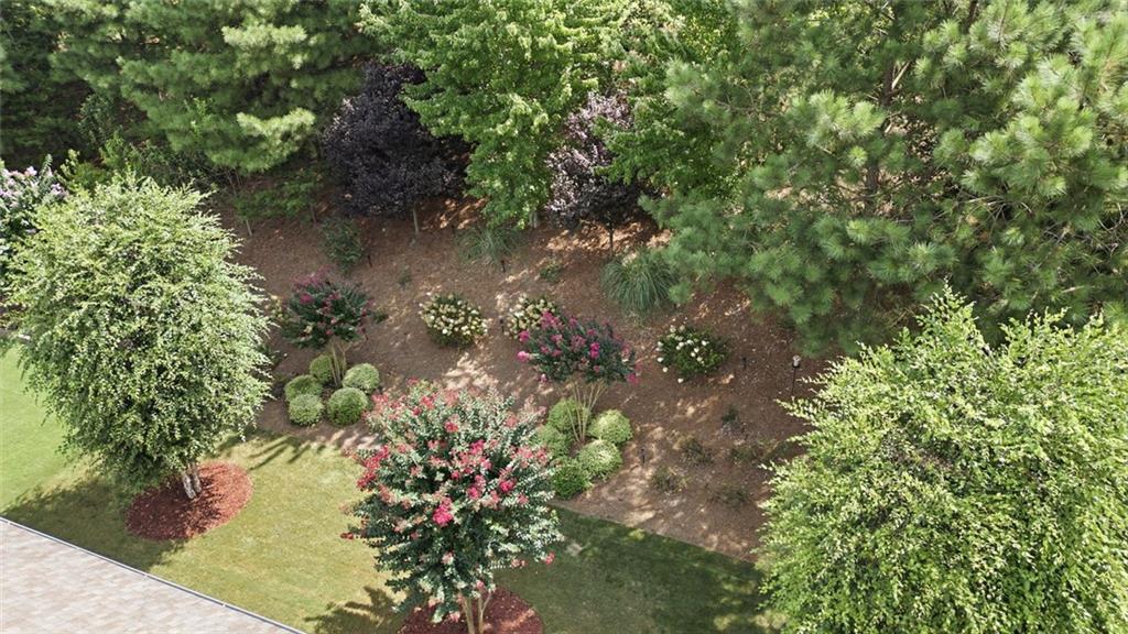1985 Arbor Ridge Lane