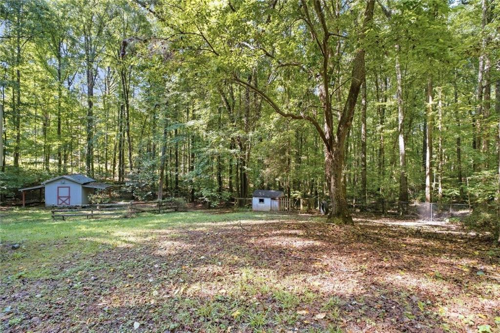Wooded yard with two small sheds and a fenced area beneath mature trees.