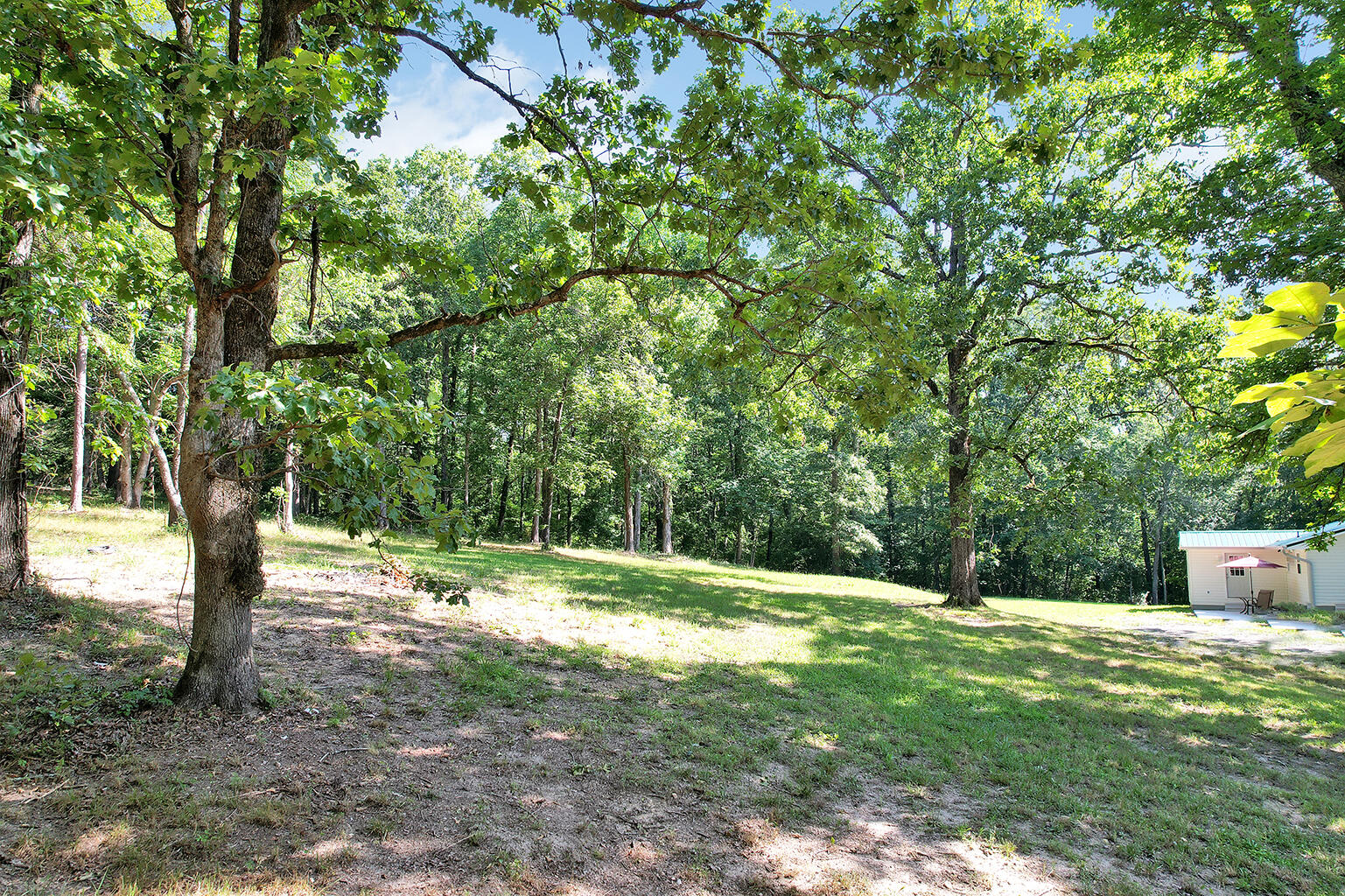 839 Rynes Road