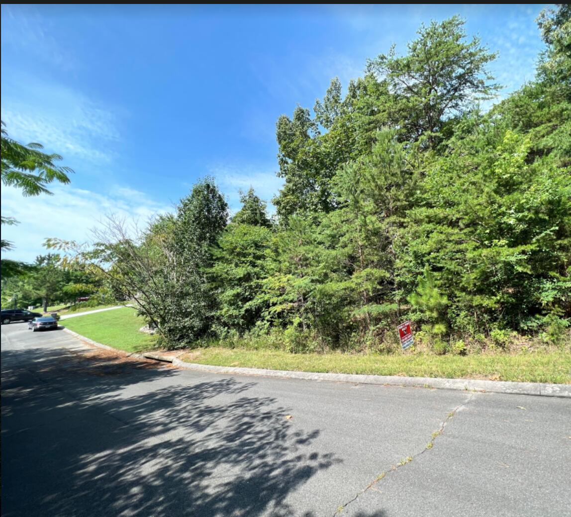 Lot 39 Peavine Way