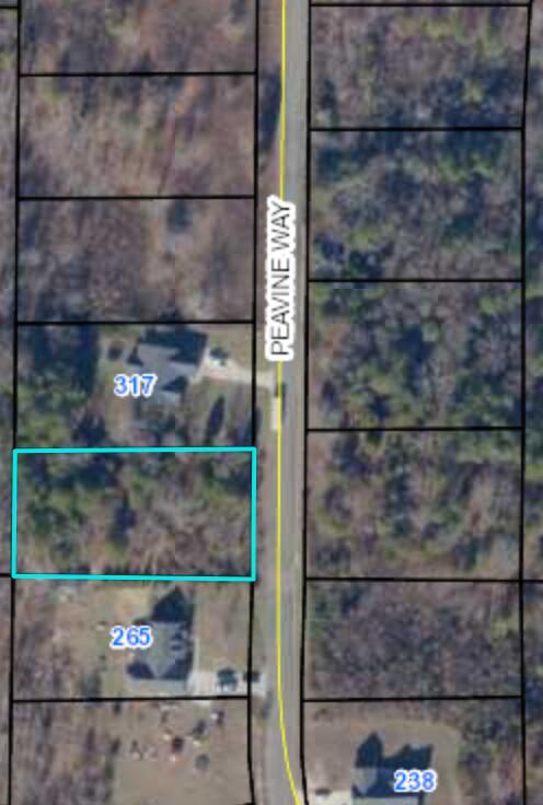 Lot 39 Peavine Way