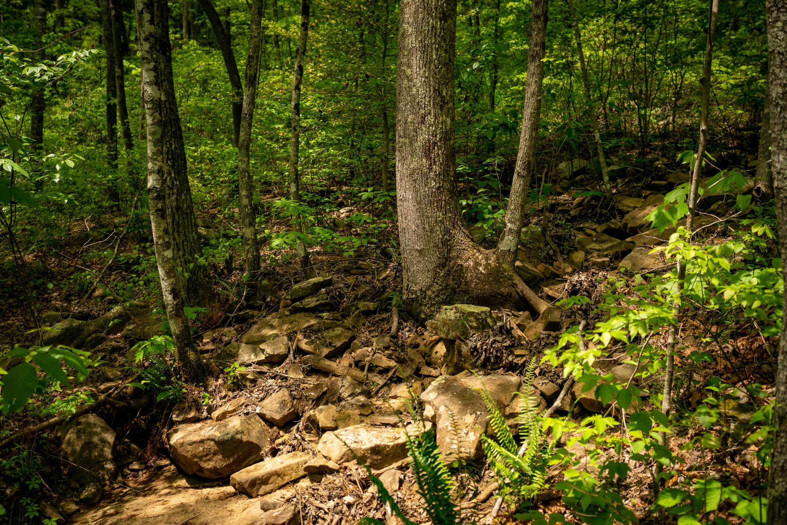 0 Rock Creek Trail, 16 & 17