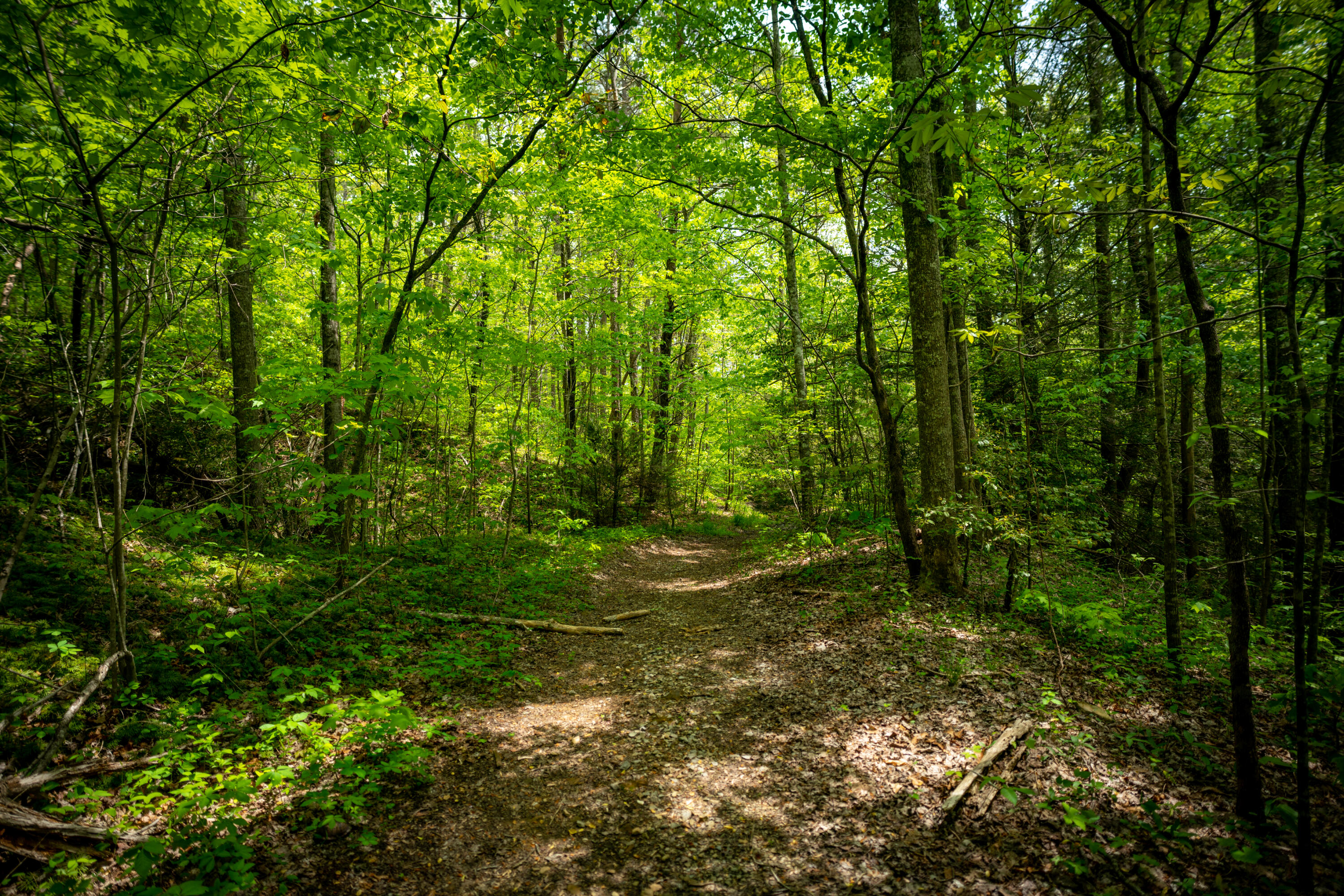 0 Rock Creek Trail, 16 & 17
