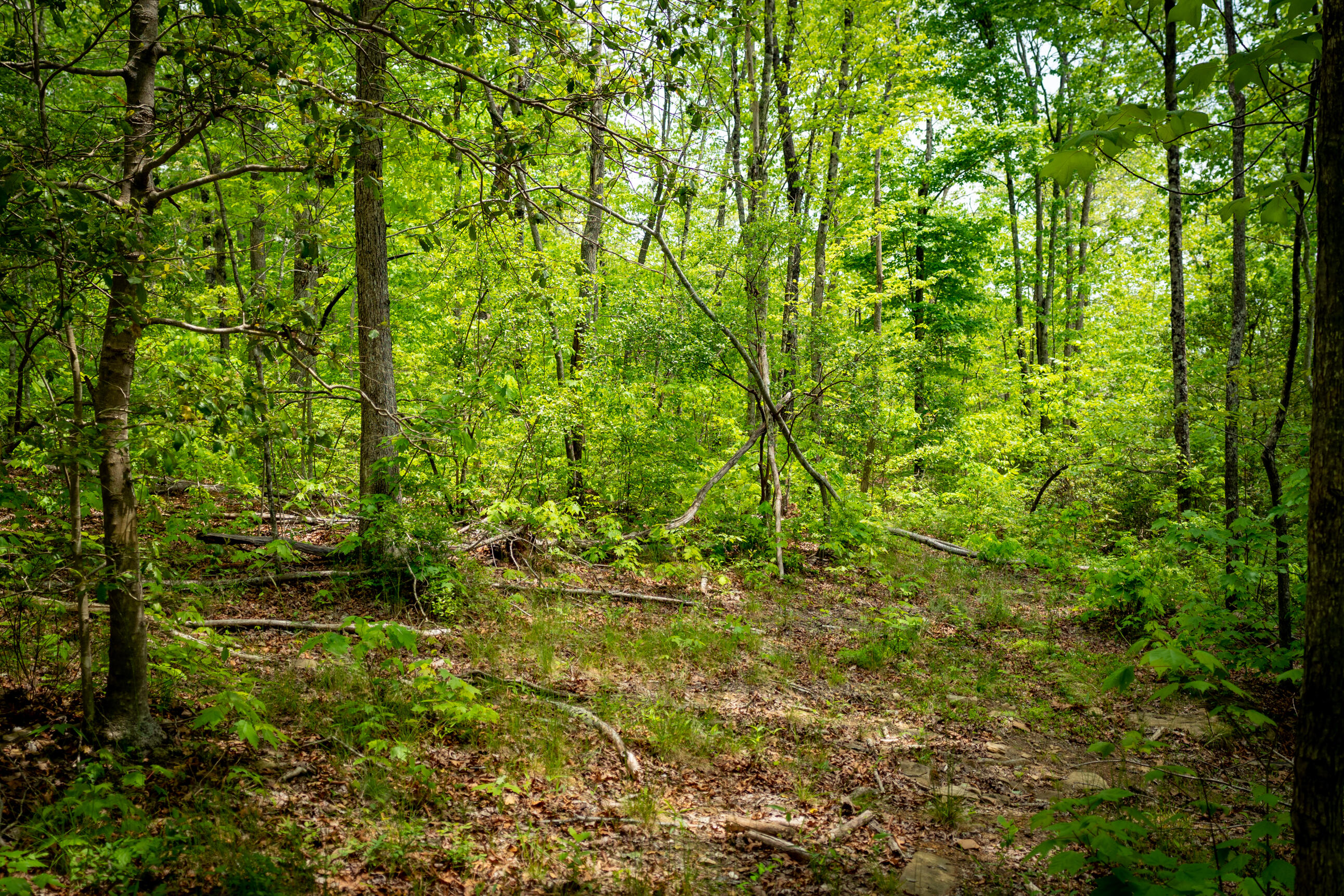 0 Rock Creek Trail, 16 & 17