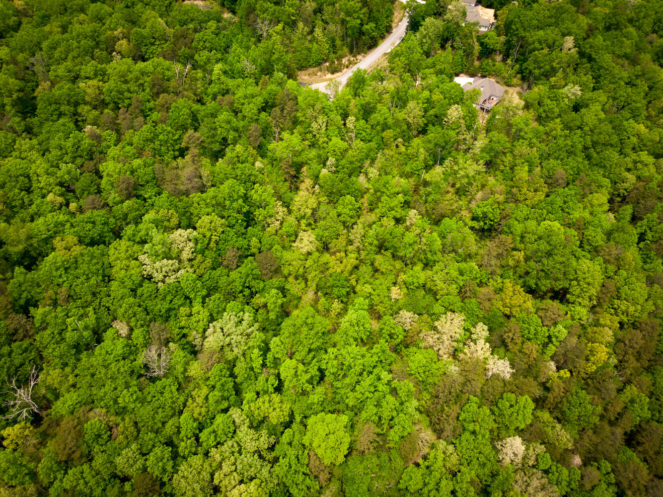 0 Rock Creek Trail, 16 & 17