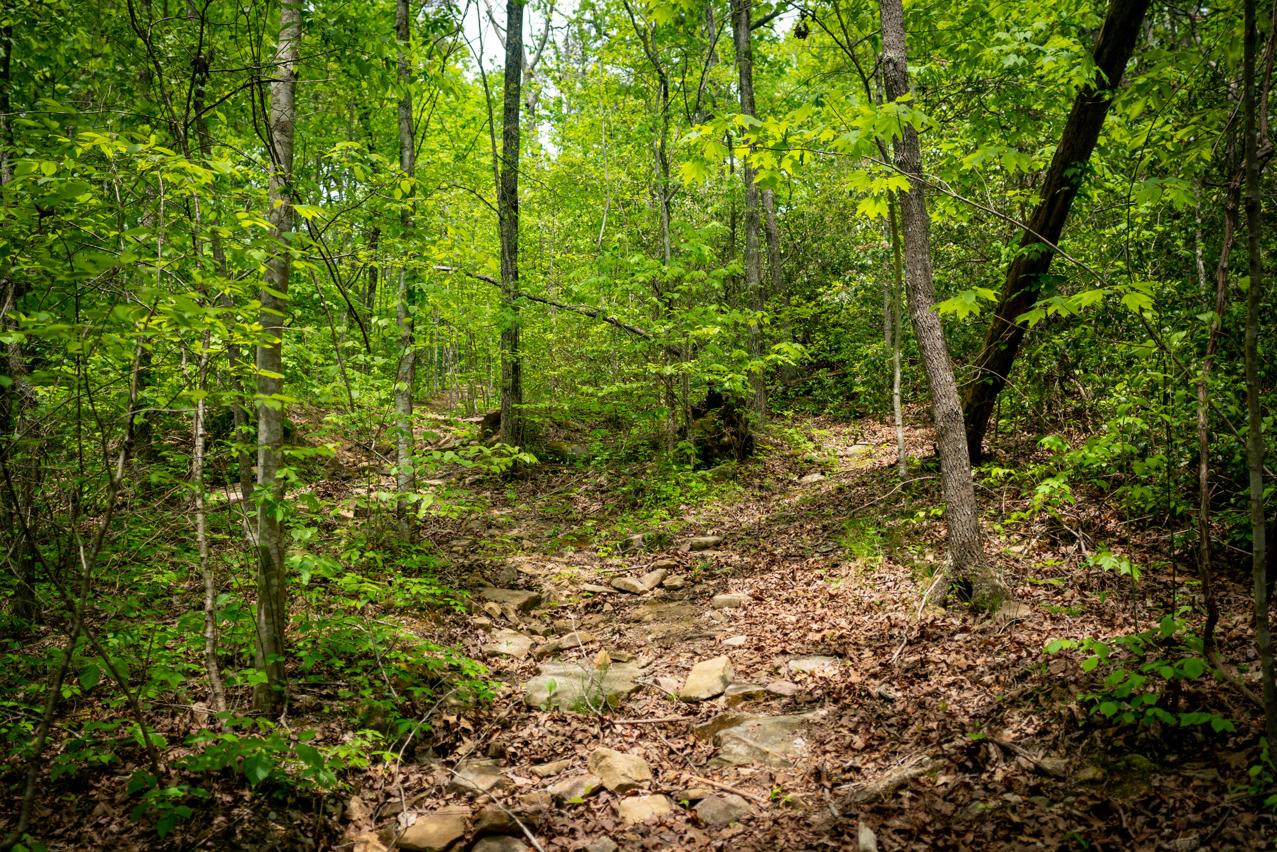 0 Rock Creek Trail, 16 & 17