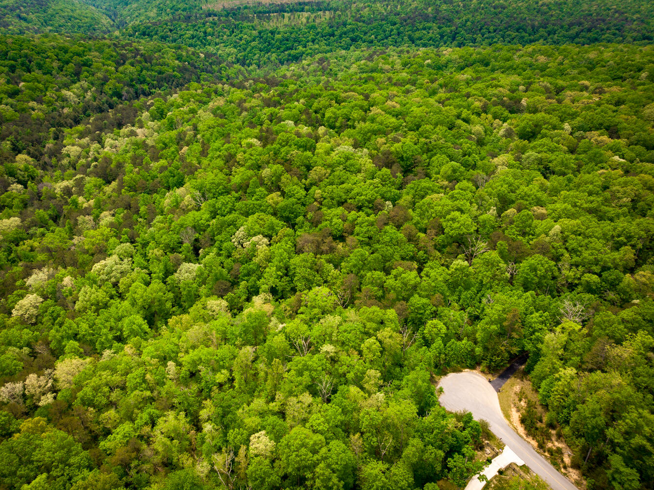0 Rock Creek Trail, 16 & 17