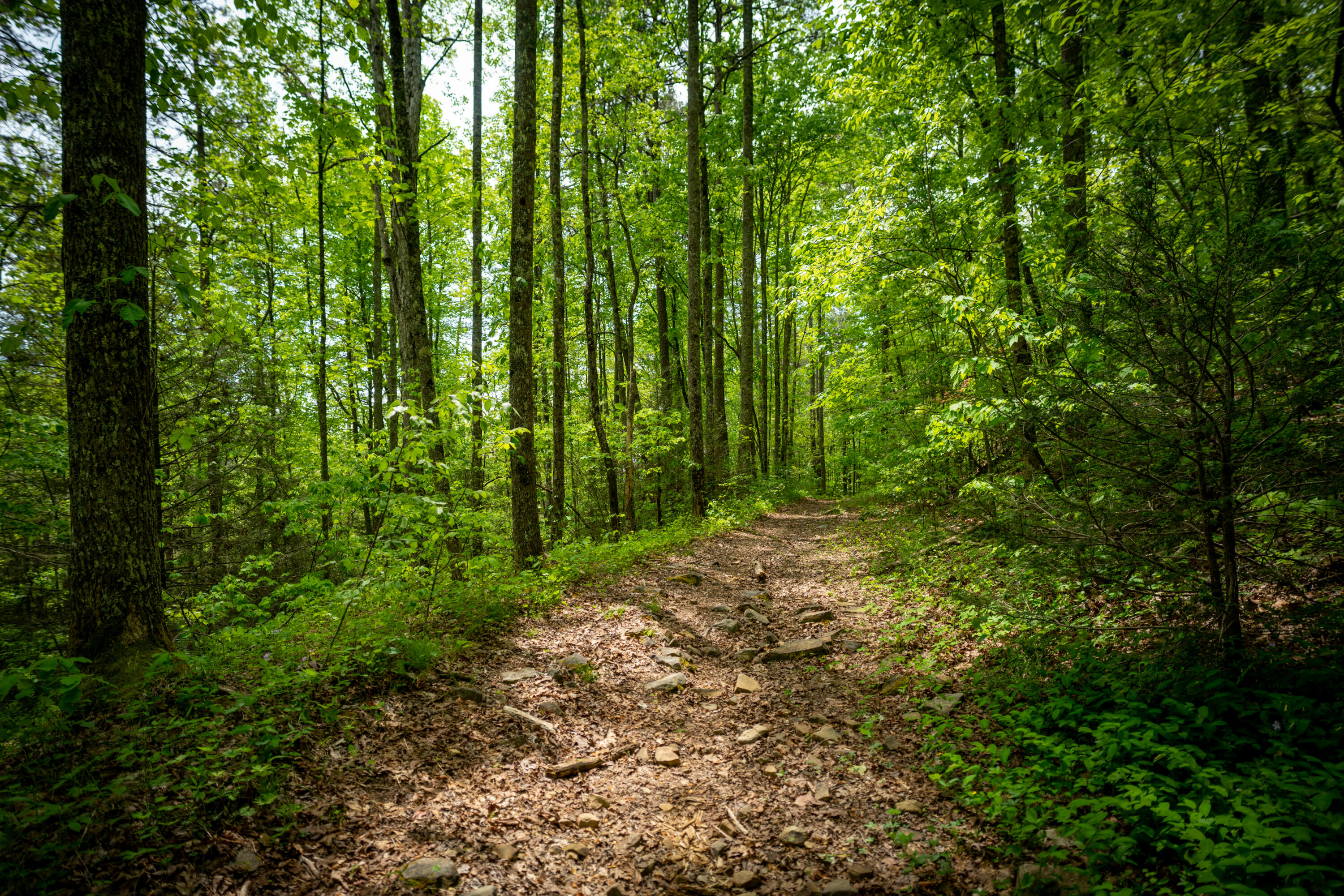 0 Rock Creek Trail, 16 & 17