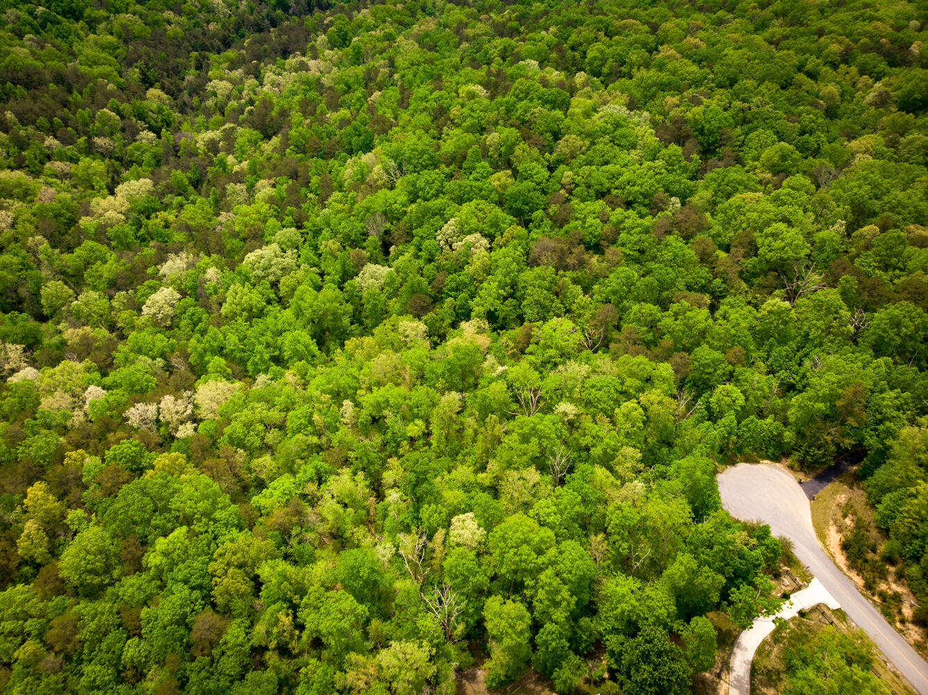 0 Rock Creek Trail, 16 & 17