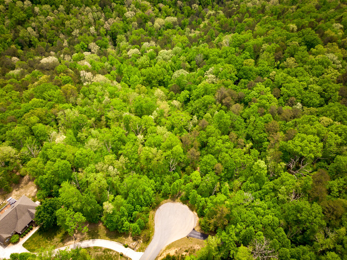 0 Rock Creek Trail, 16 & 17