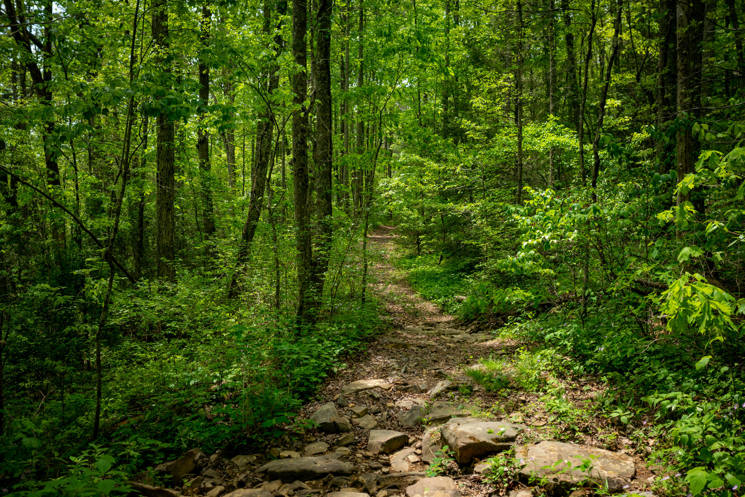 0 Rock Creek Trail, 16 & 17