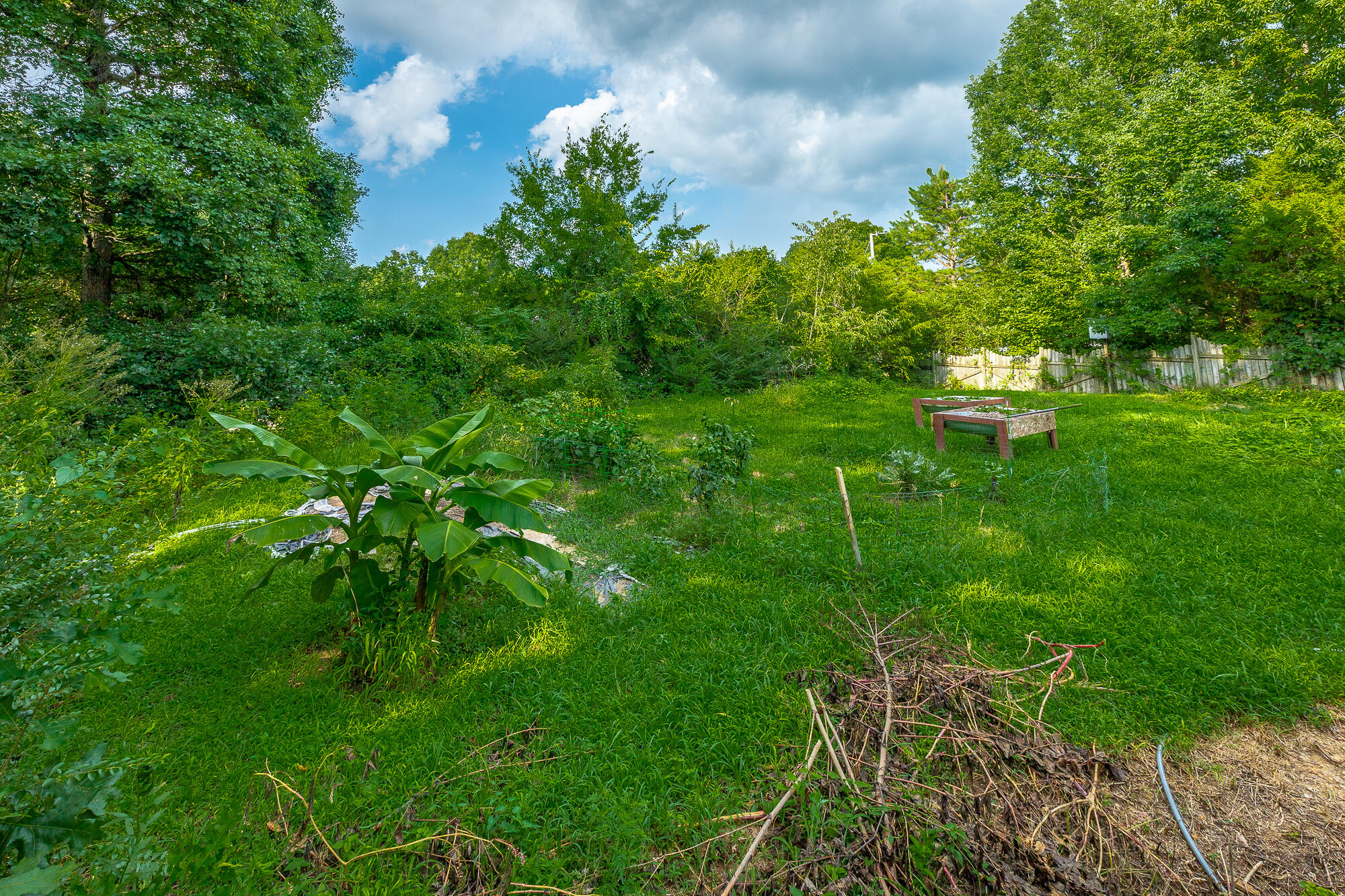6111 Blue Ash Drive