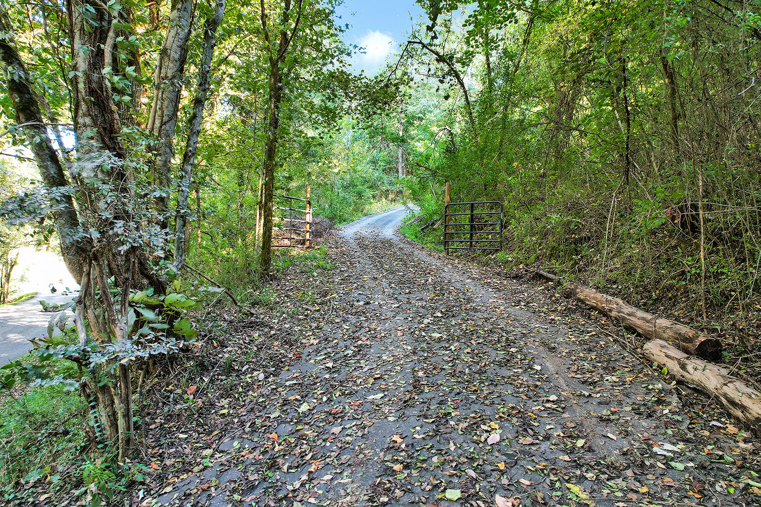 3351 Sweetens Cove Road