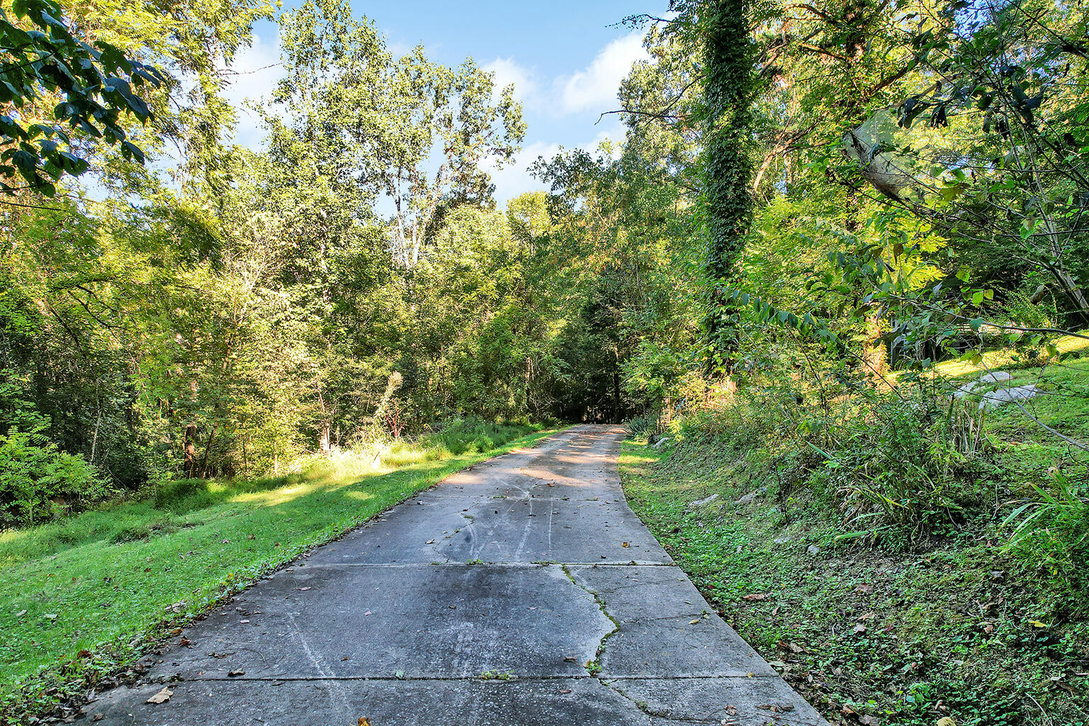 3351 Sweetens Cove Road