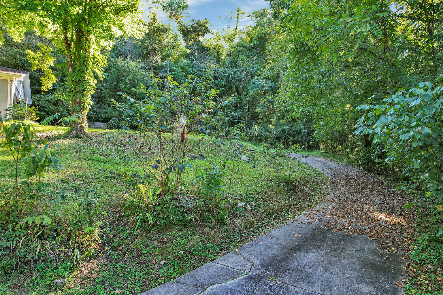 3351 Sweetens Cove Road