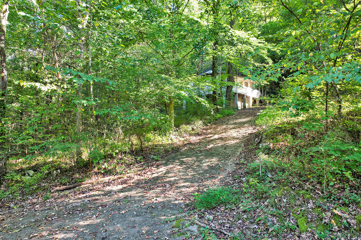 3351 Sweetens Cove Road