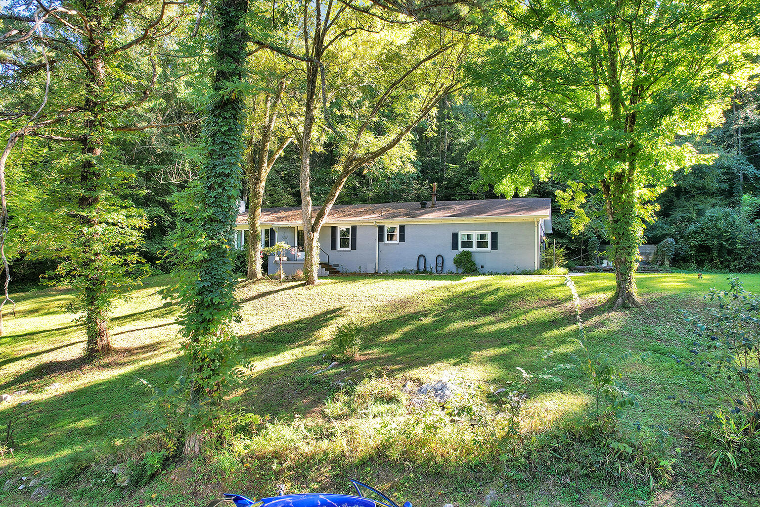 3351 Sweetens Cove Road