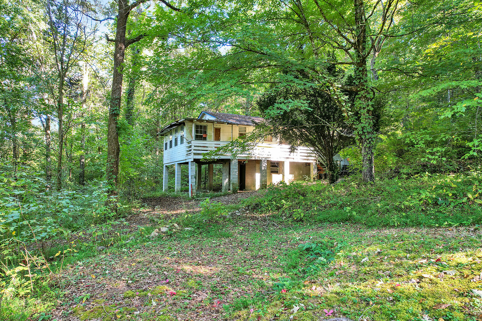 3351 Sweetens Cove Road