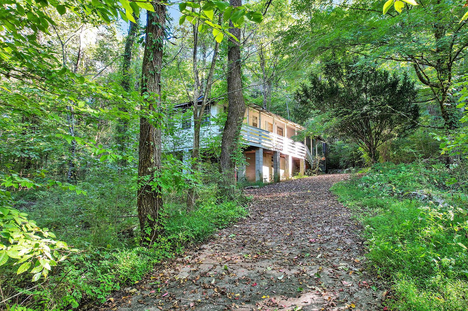 3351 Sweetens Cove Road