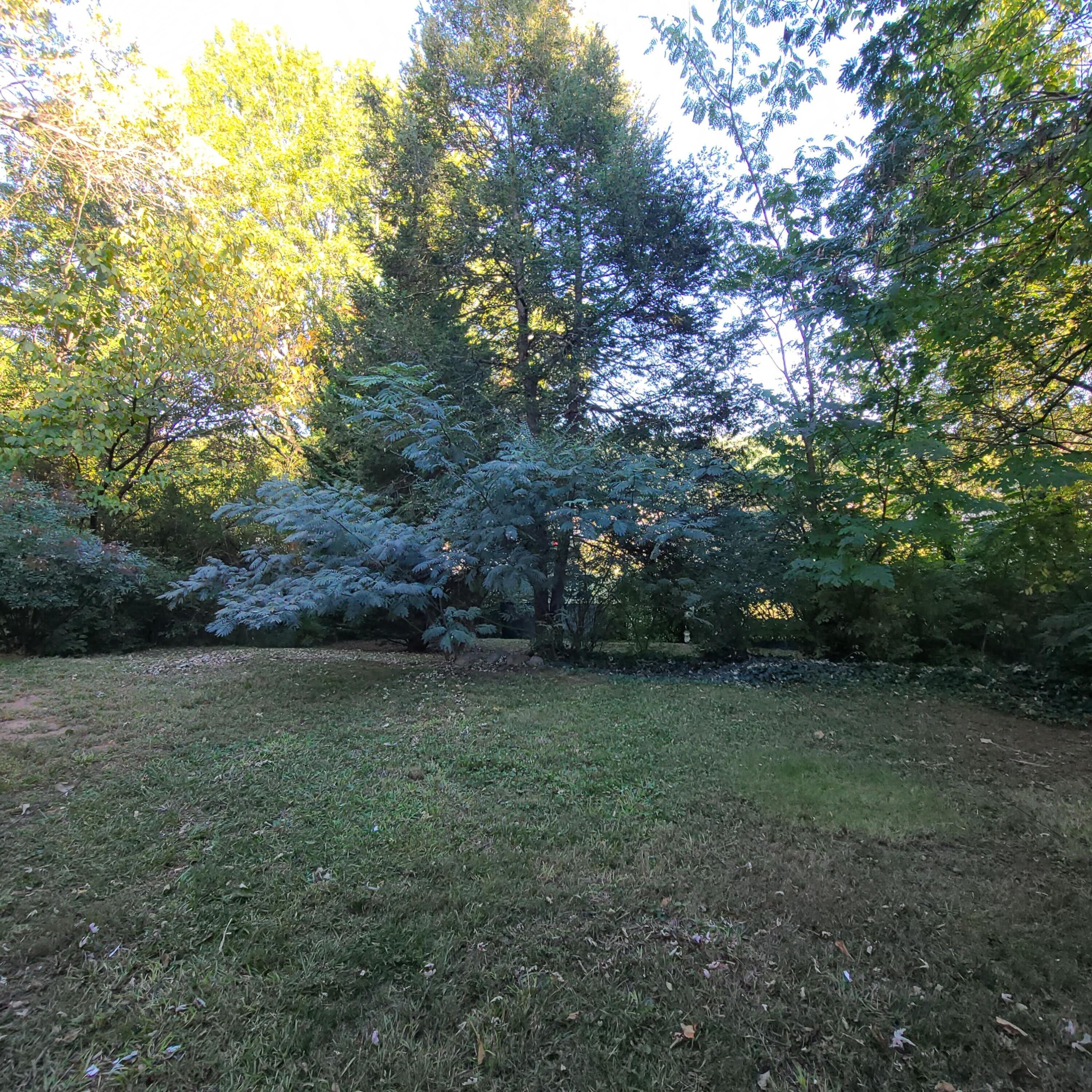 4202 Oakland Terrace