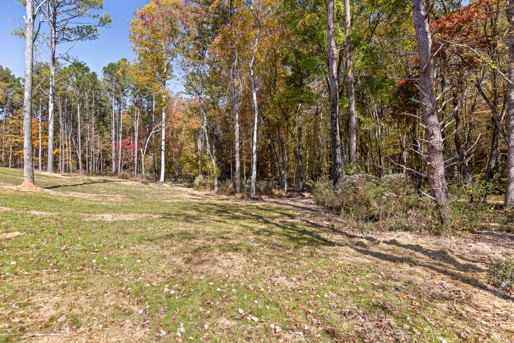 6417 Shirley Pond Road