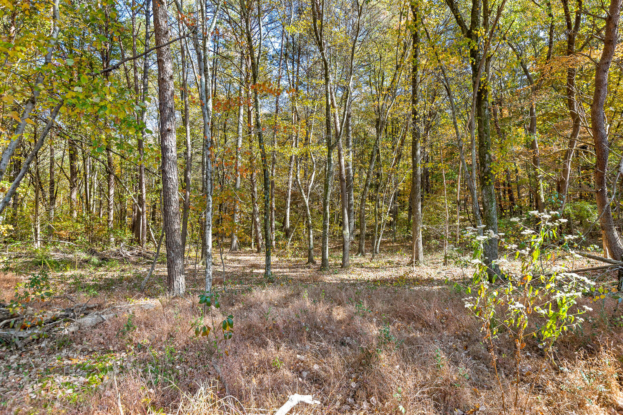 6417 Shirley Pond Road