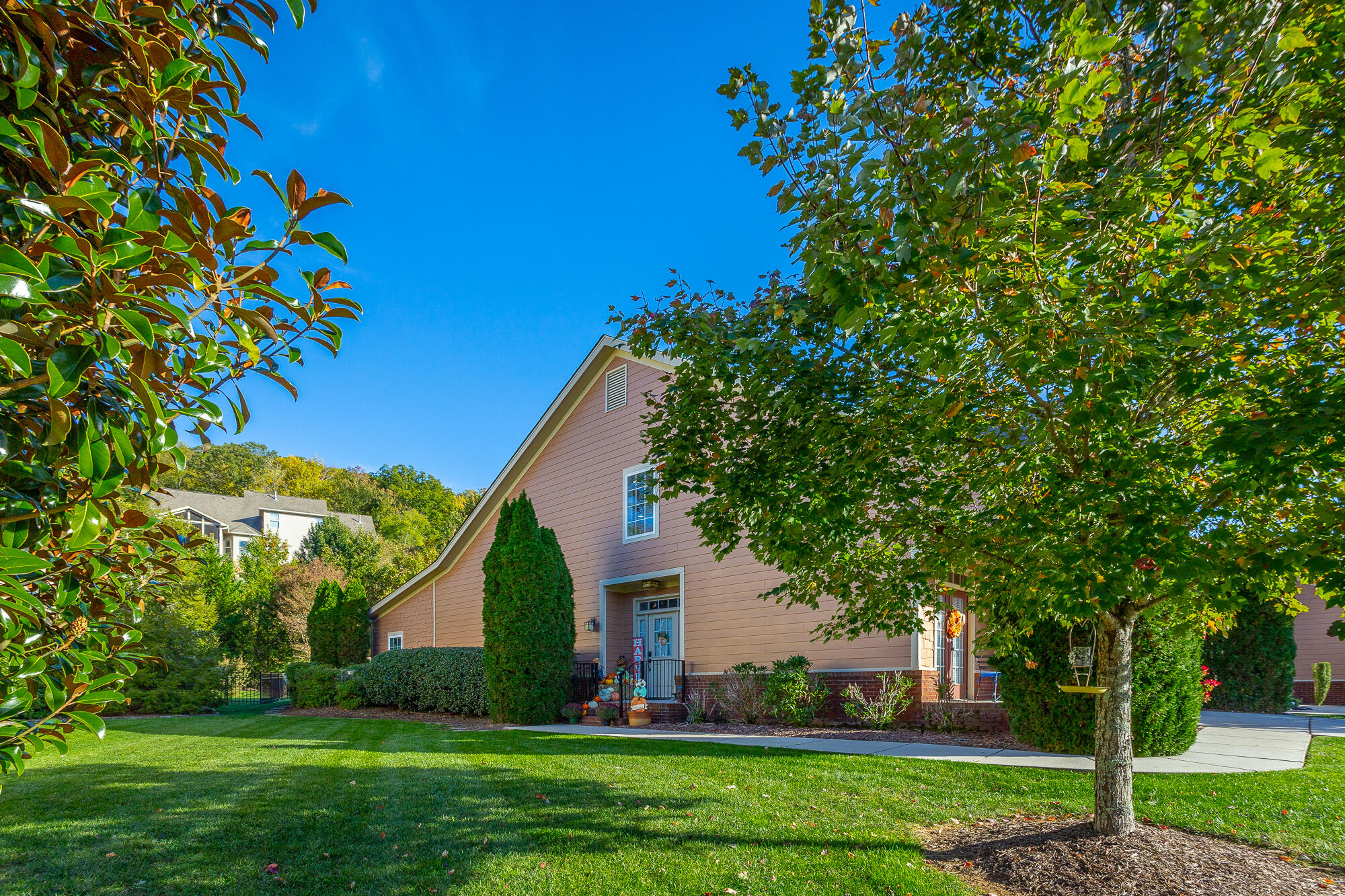 1126 Saddlebrook Drive
