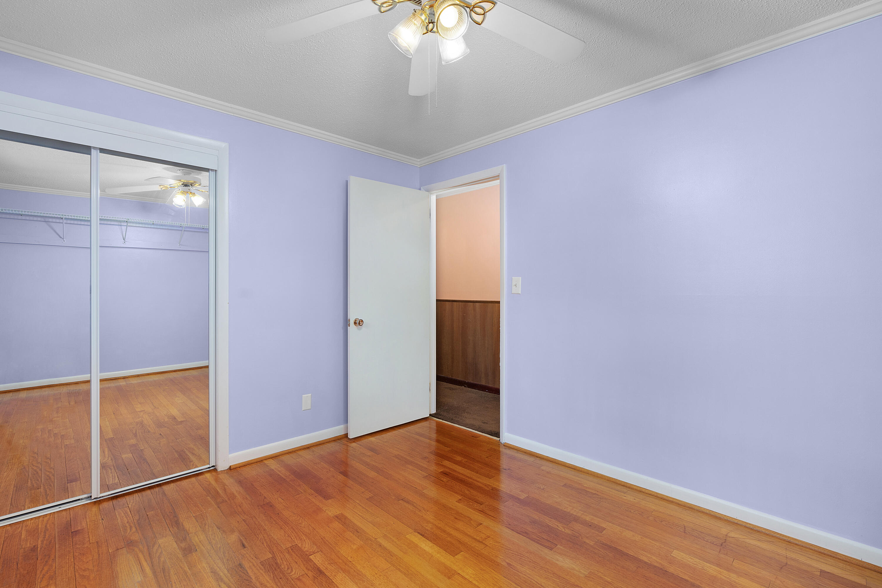 80 Cinderella Drive