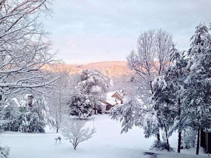 7718 Sandalwood Heights Drive