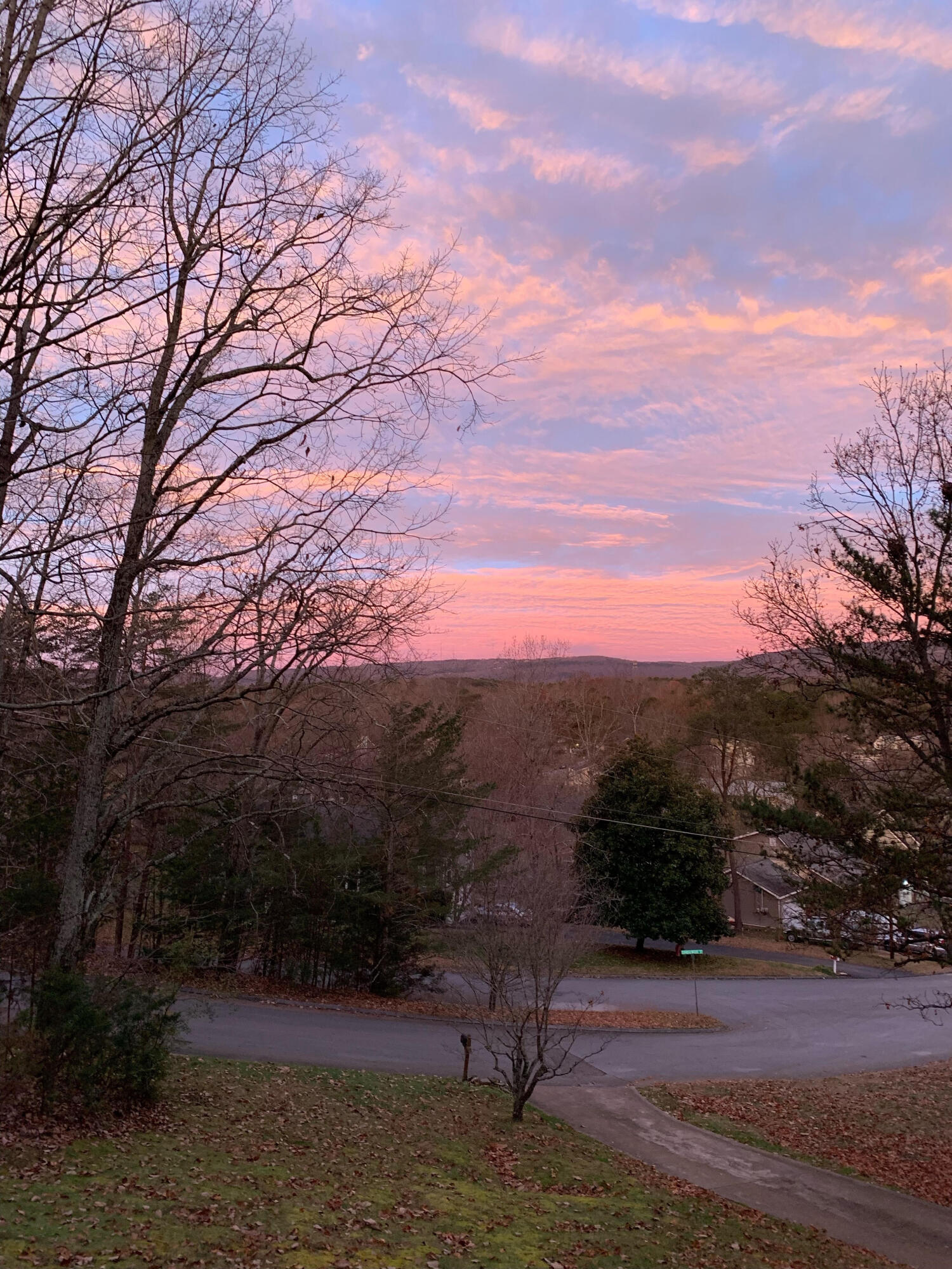 7718 Sandalwood Heights Drive