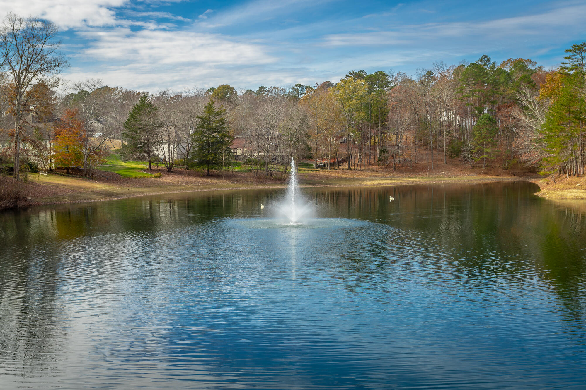 1413 Fore Winds