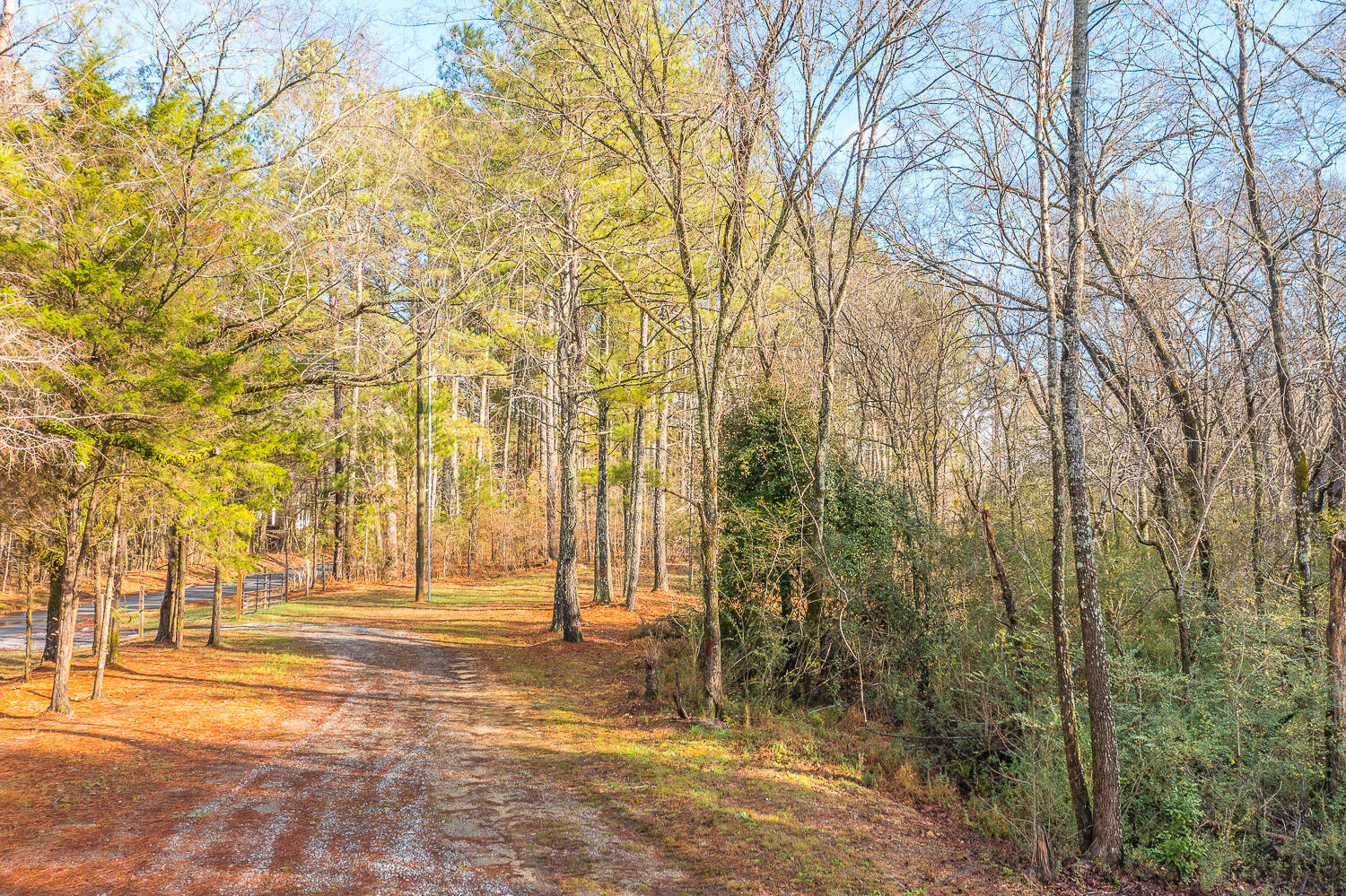 990 Hemphill Road
