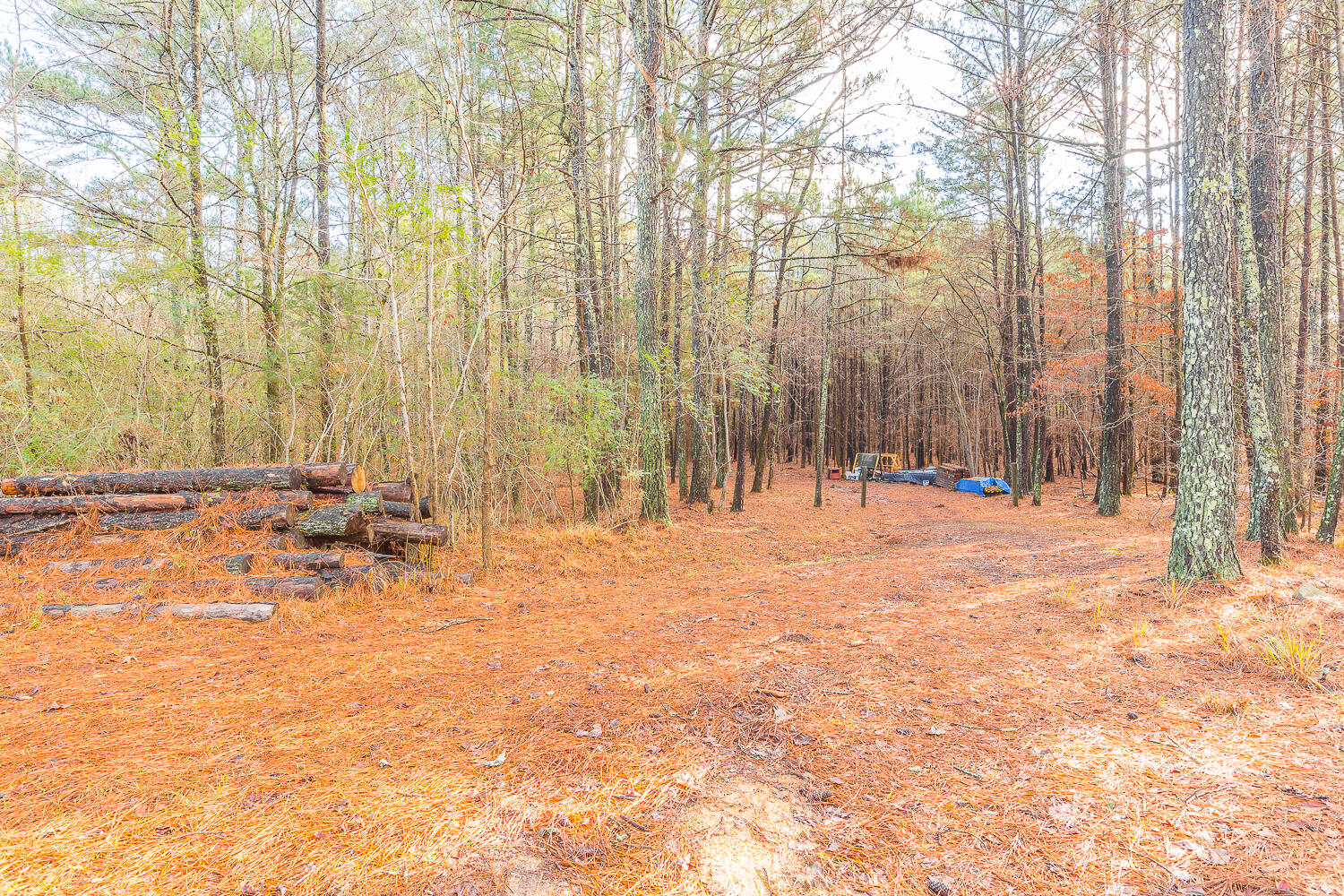 990 Hemphill Road