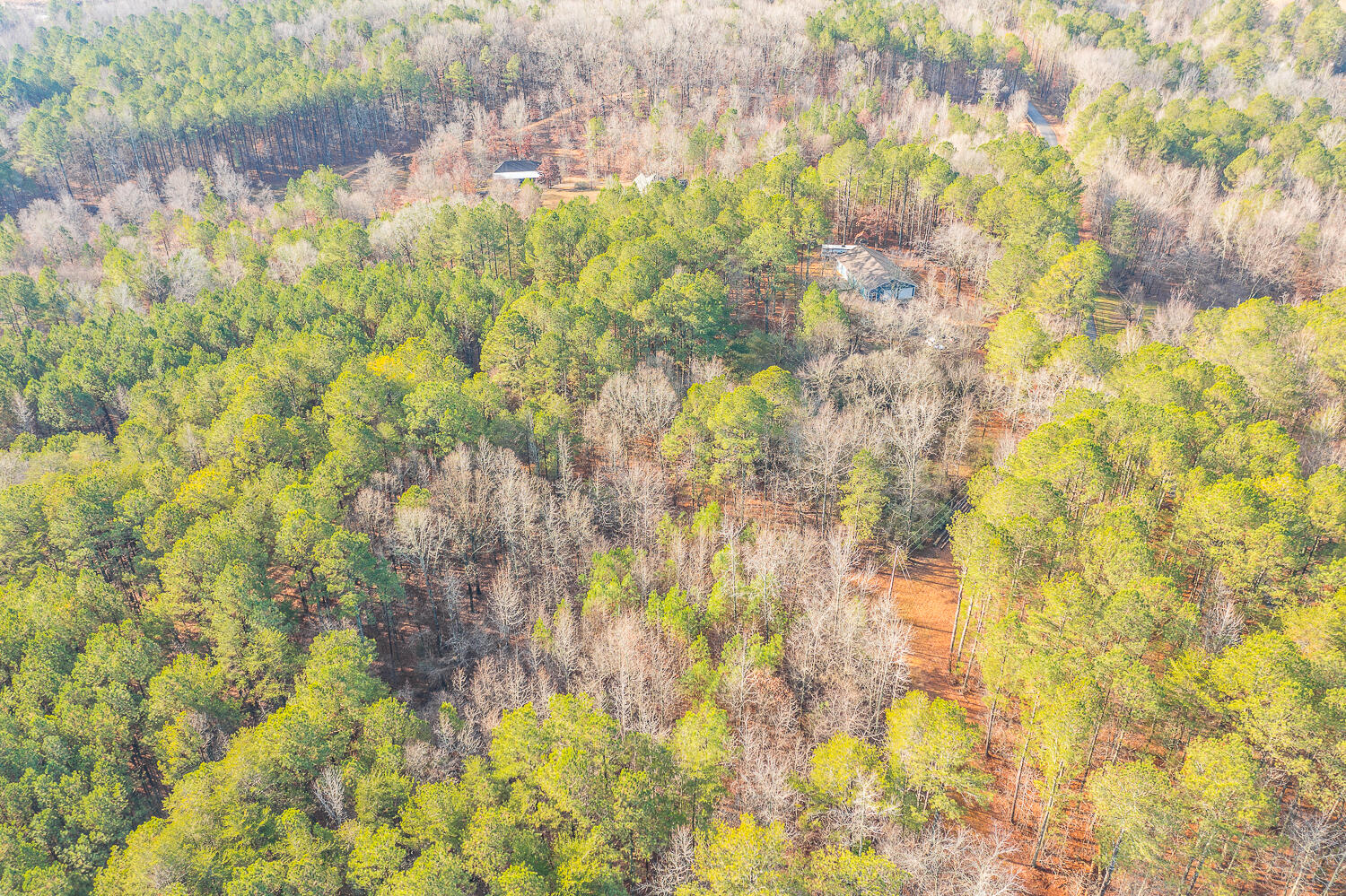 990 Hemphill Road
