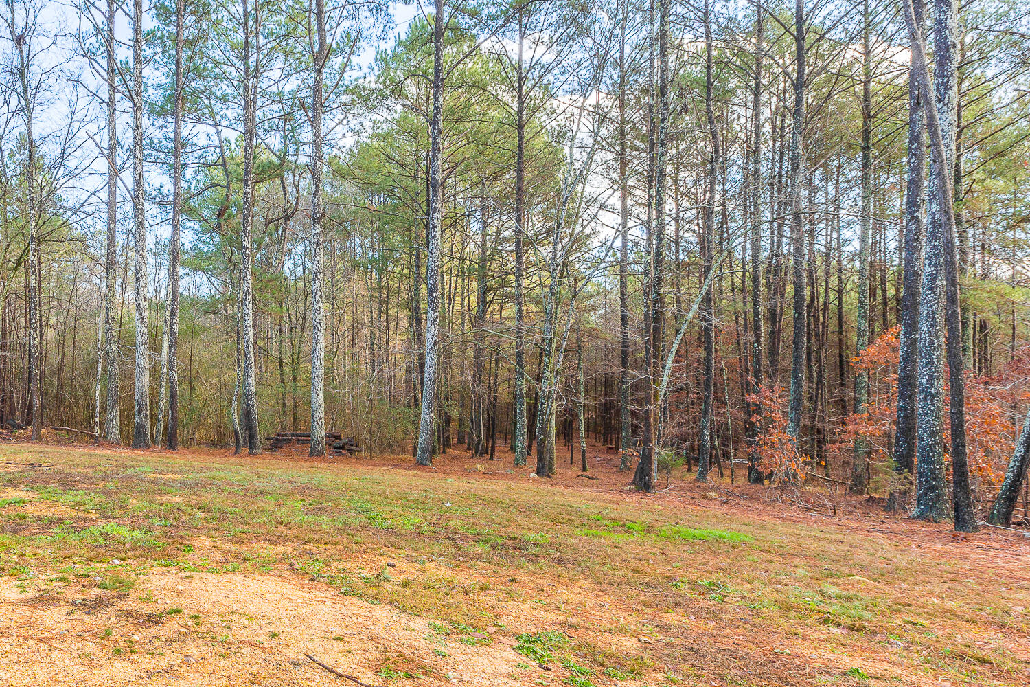 990 Hemphill Road