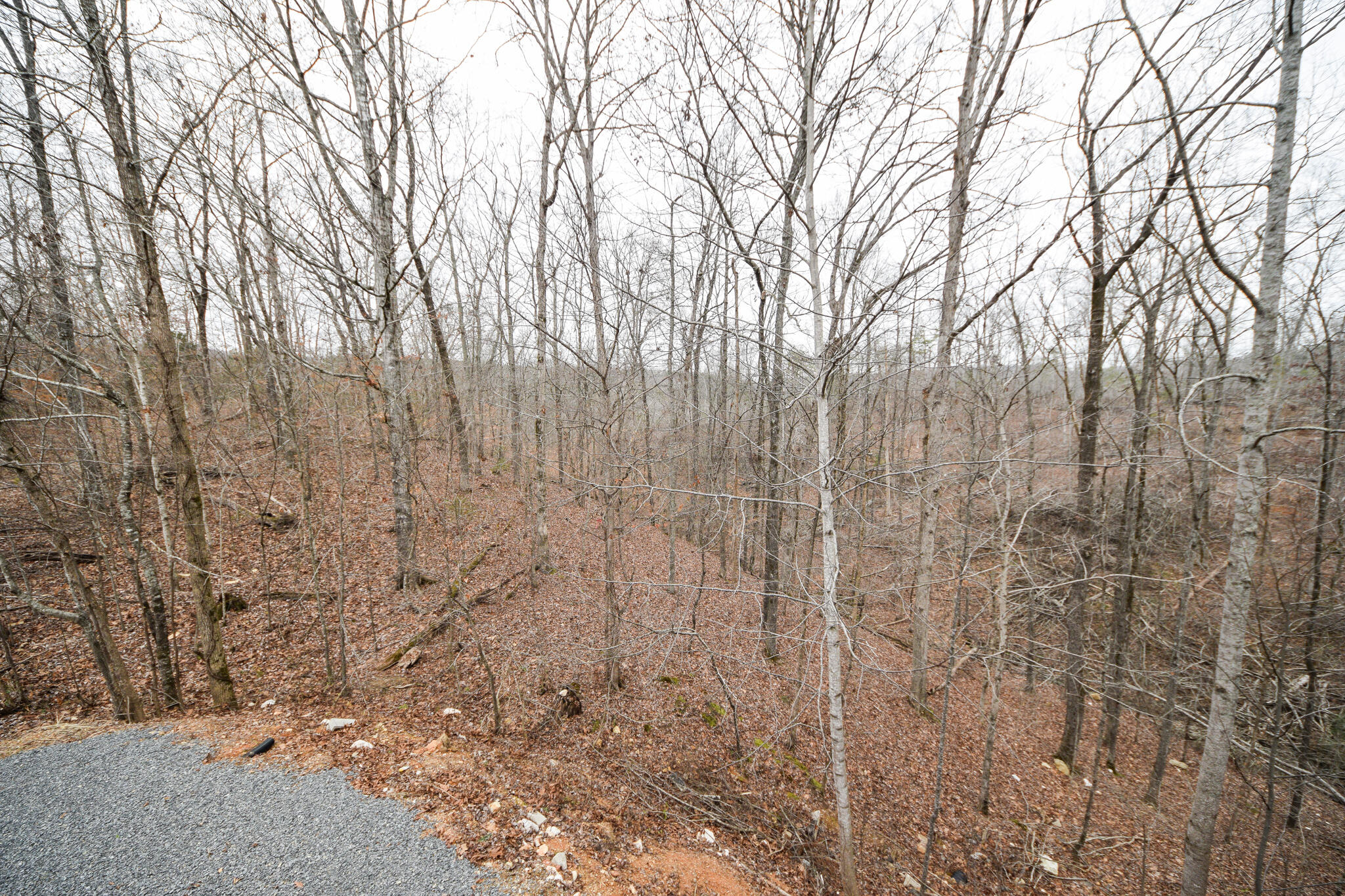 195 SW Silver Maple Circle