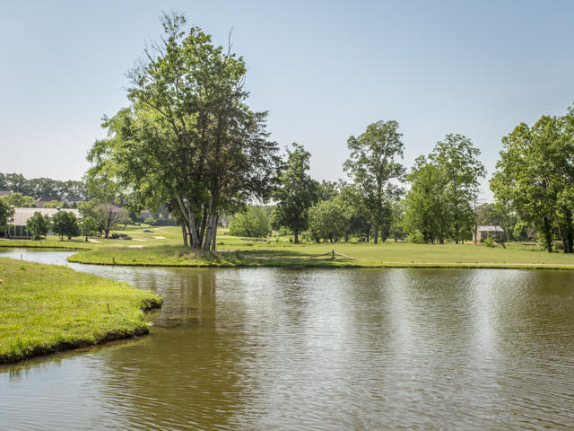 8410 Rambling Rose Drive