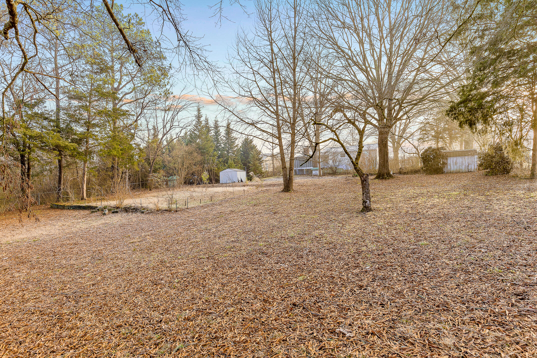 5001 Swan Road