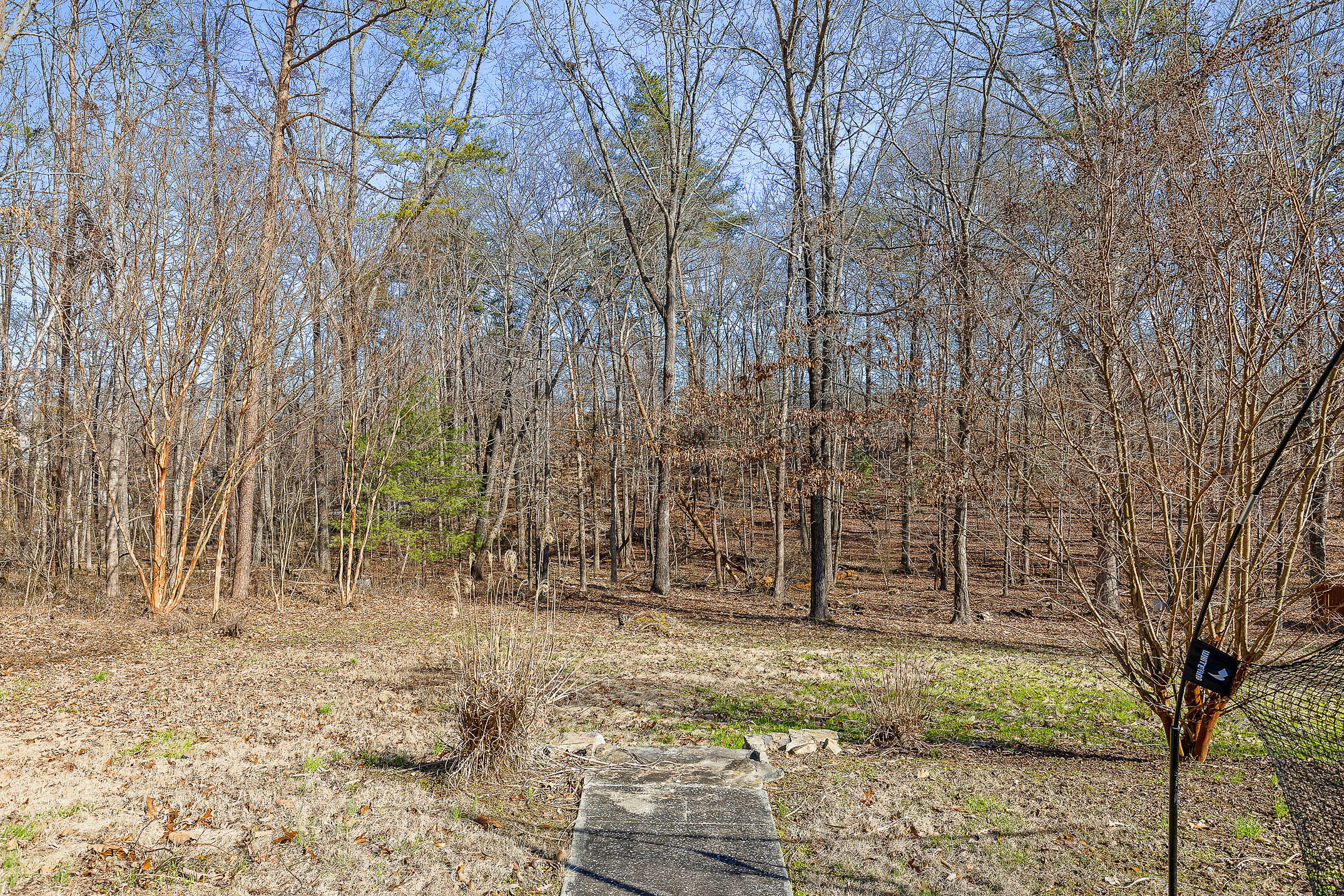 12958 Chelle Drive