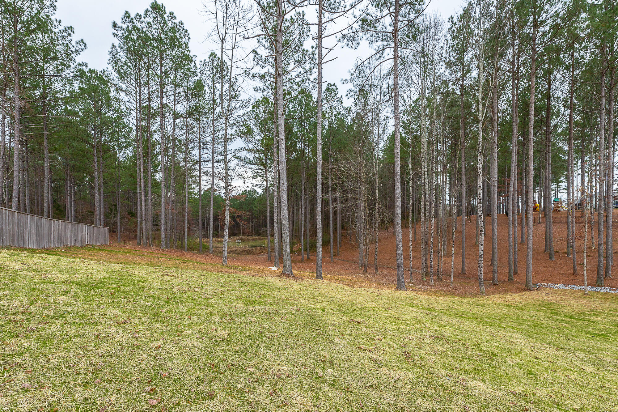 813 Equestrian Drive
