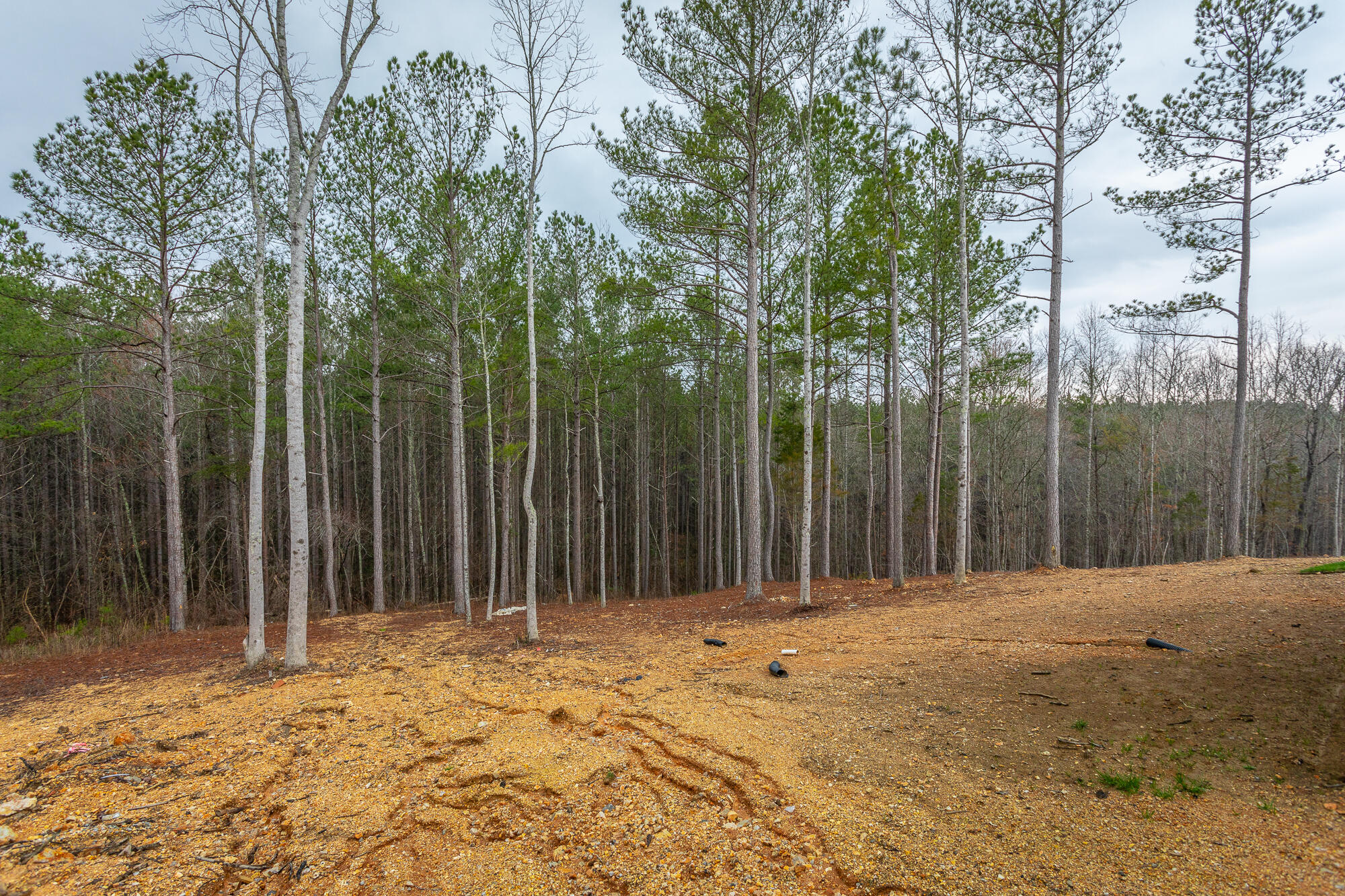 12026 Mare Court
