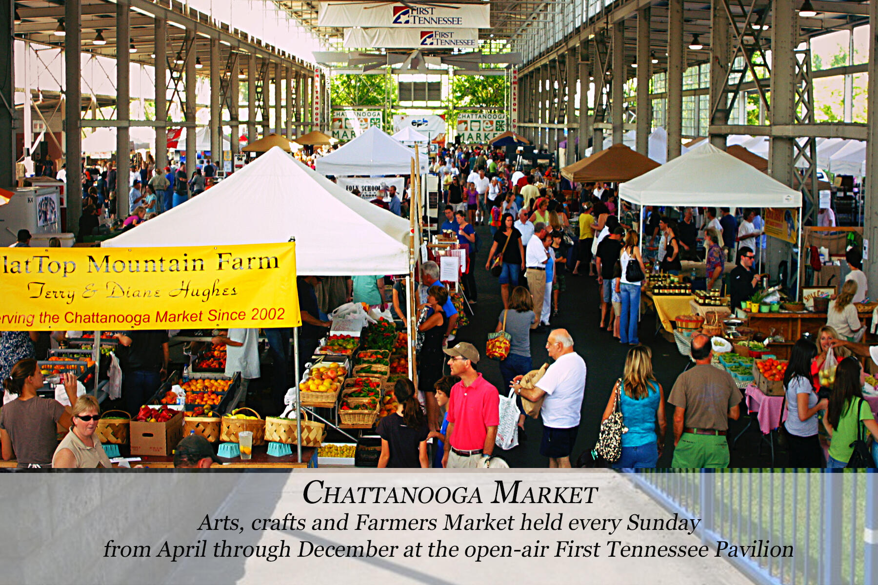 805 Franklin Street, 44