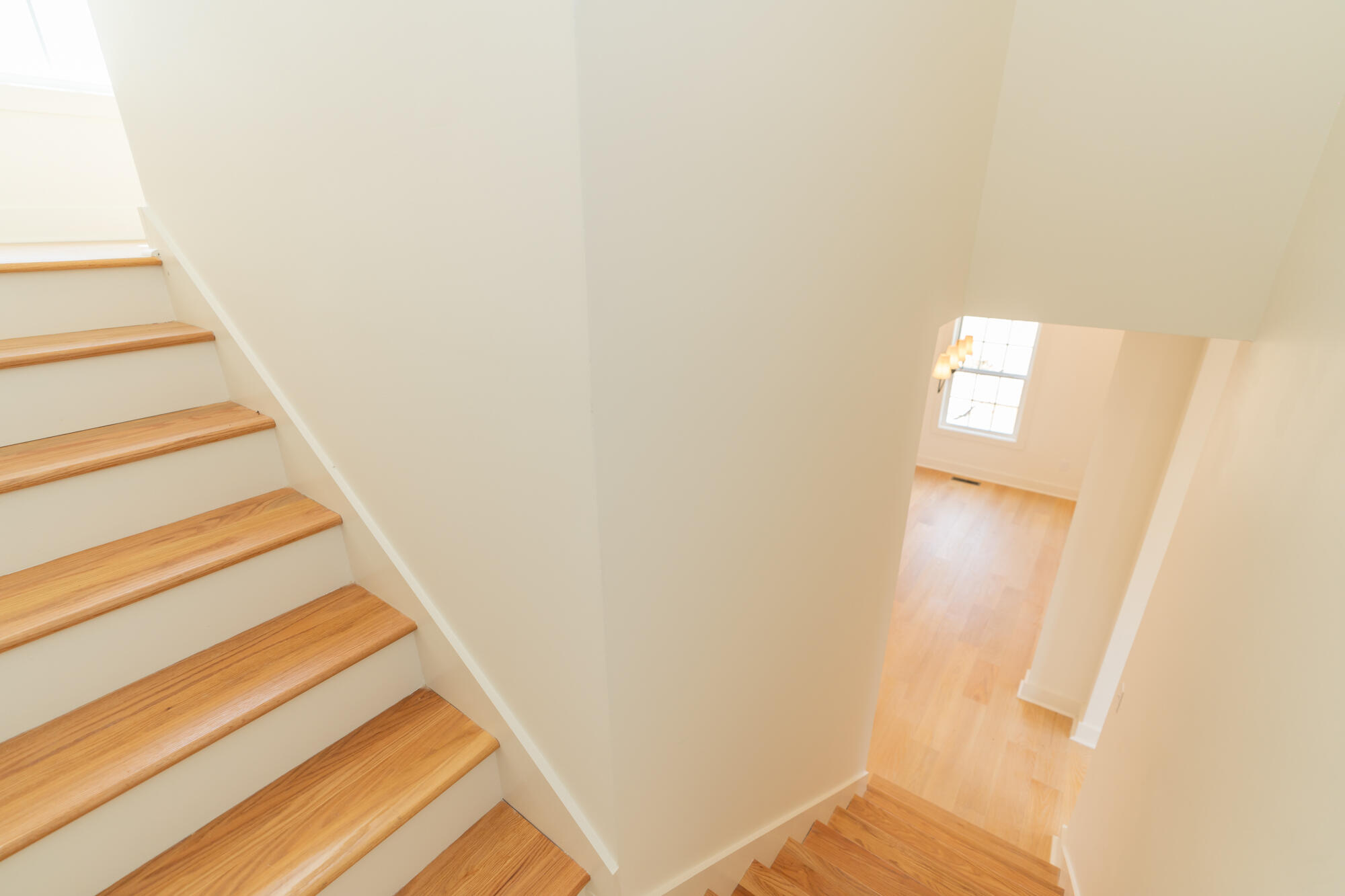 6829 Dharma Loop
