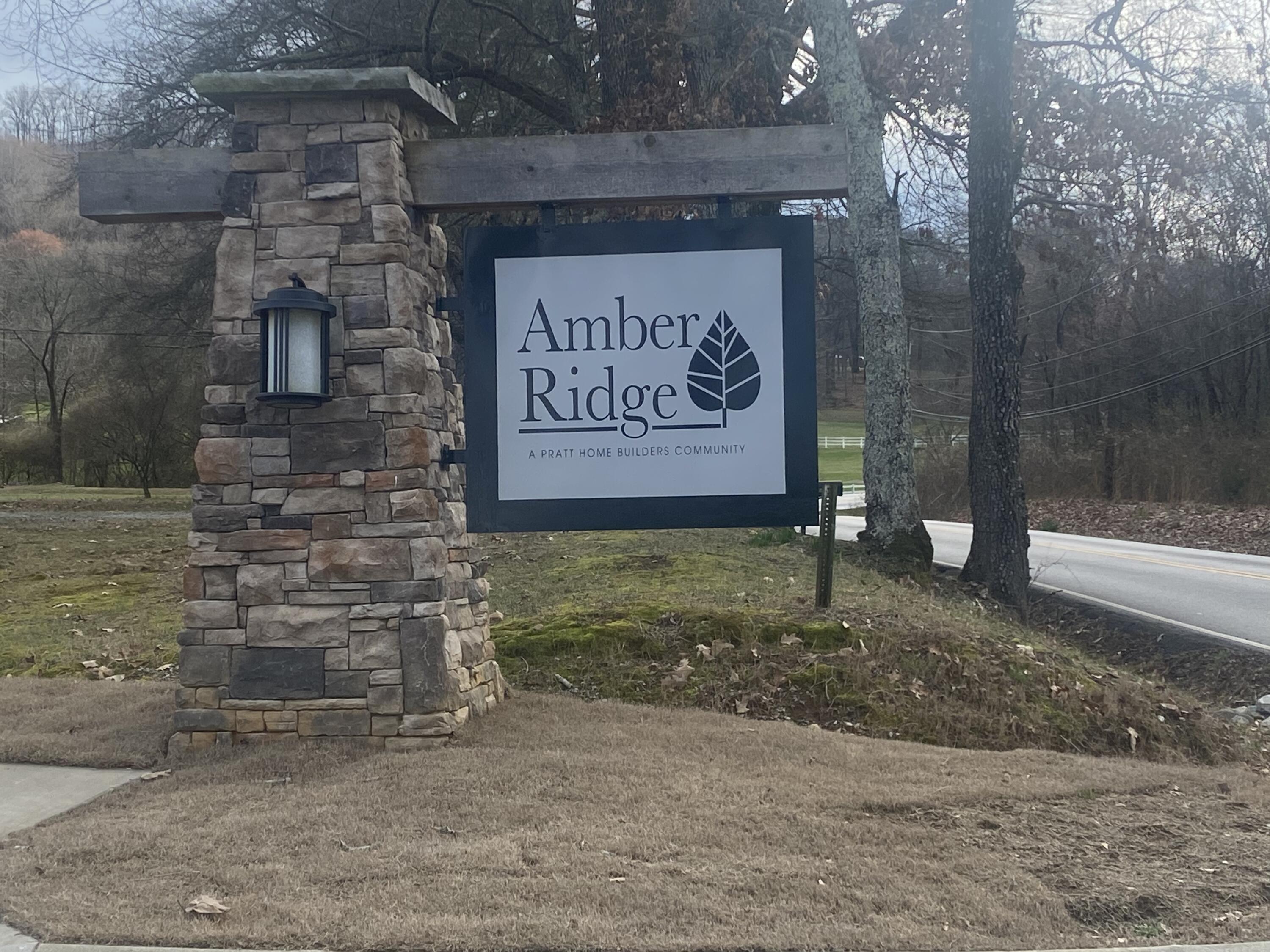 6106 Amber Forest Trail